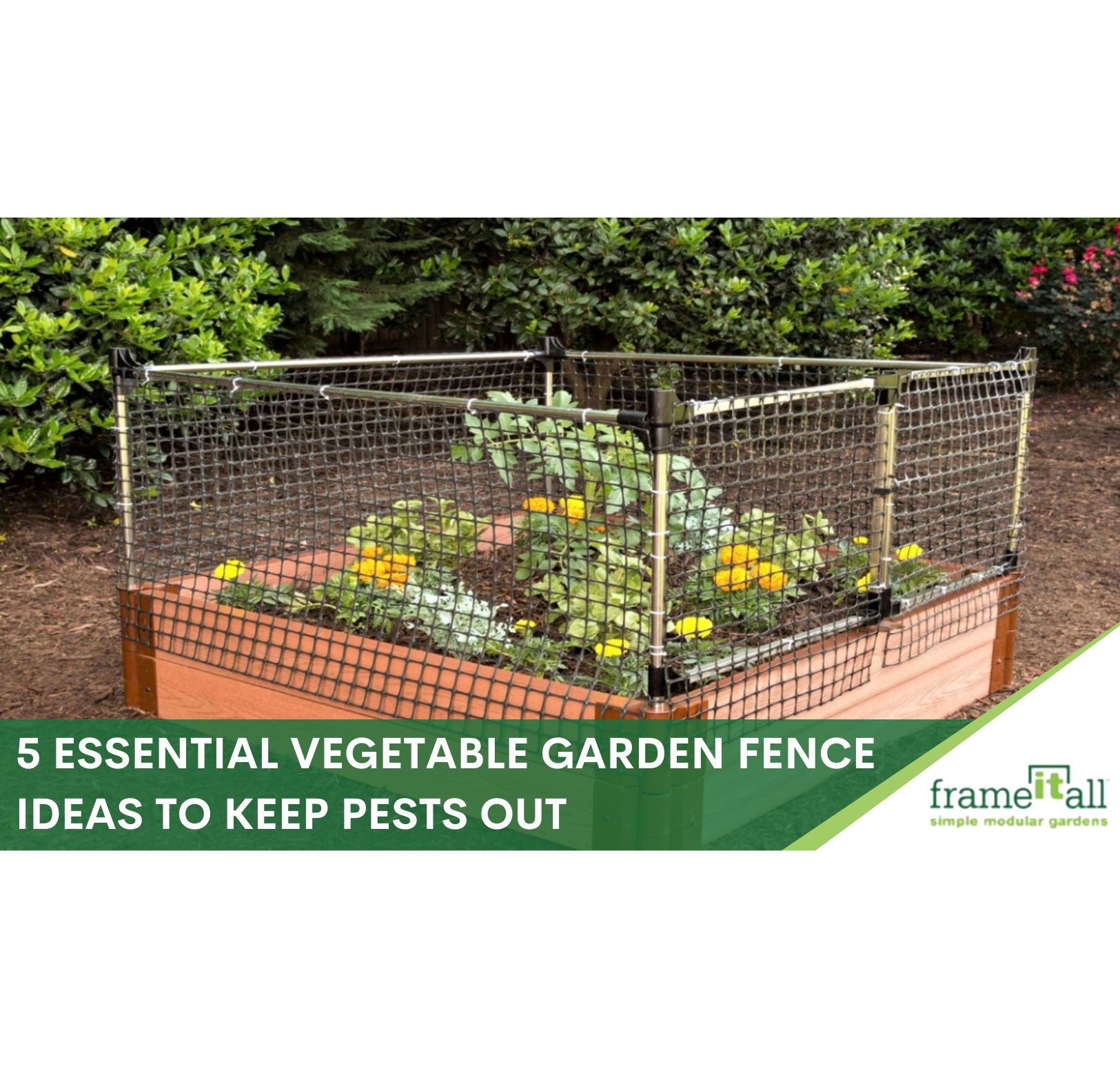 5 Vegetable Backyard Garden Fence Ideas - Frame It All