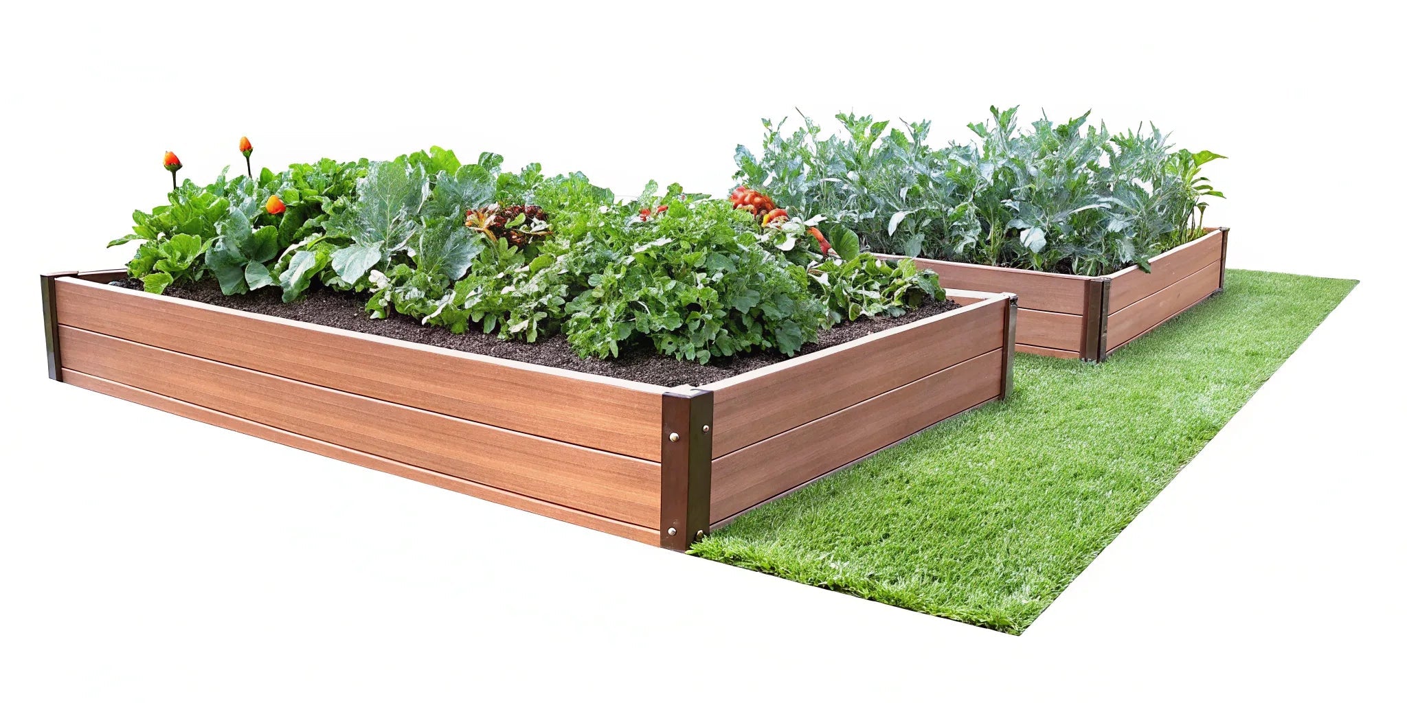 What Wood is Safe for Vegetable Gardens