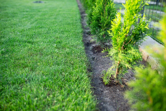 Best Way To Edge Flower Beds