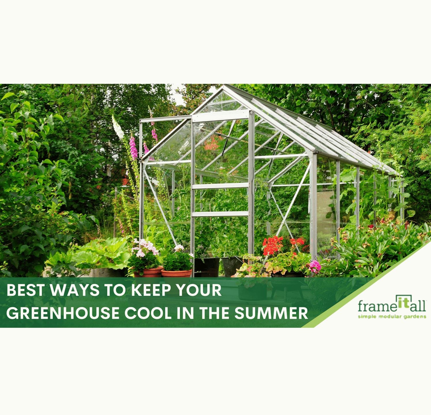 http://frameitall.com/cdn/shop/articles/best-ways-to-keep-your-greenhouse-cool-in-the-summer-531932.jpg?v=1682931391