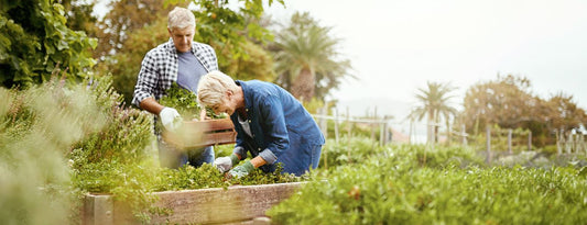 Gardening For Your Health