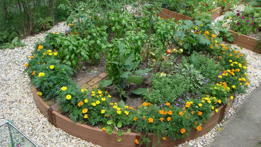 How to Choose a Recycled Plastic Garden Bed
