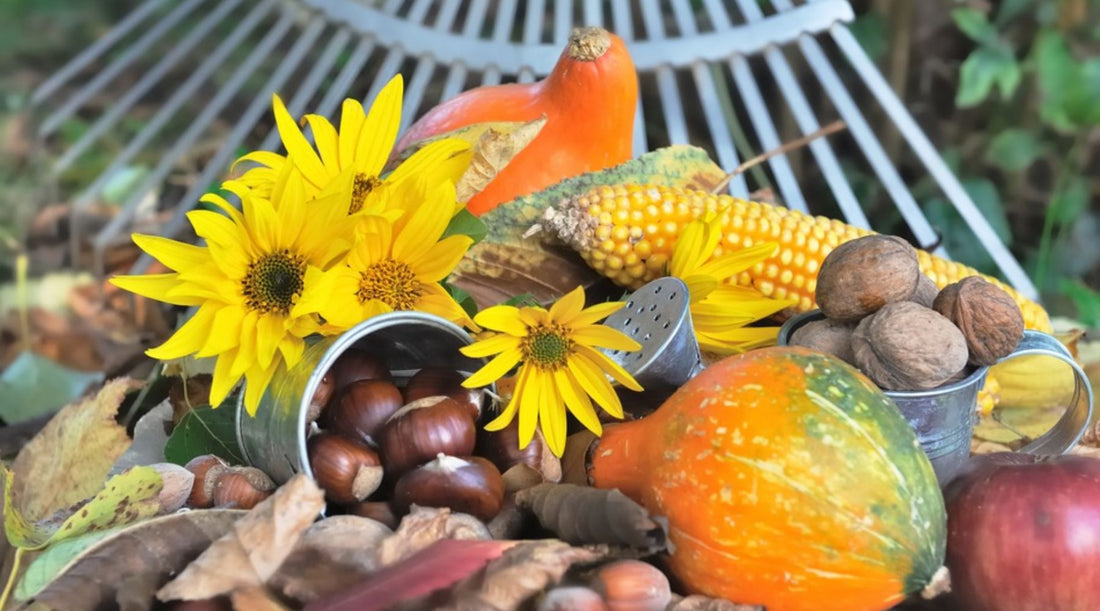 November Notes: Garden Gratitude