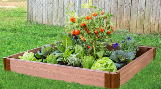 Starting a Raised Garden Bed