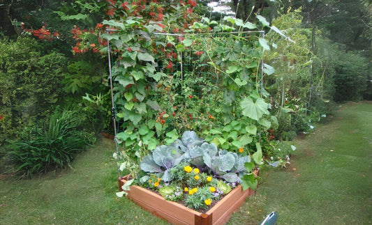 Stack & Extend 'Veggie Wall' - 4 Foot Wide Straight Panels Accessories Frame It All