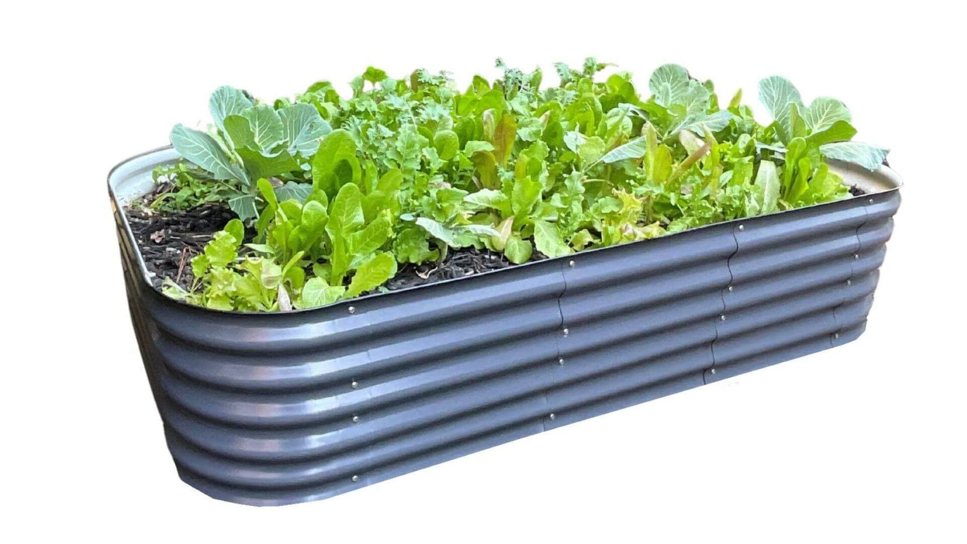 VegHerb's Slate Gray 9-in-1 Metal Raised Garden Bed (17" Height) Gardening VegHerb