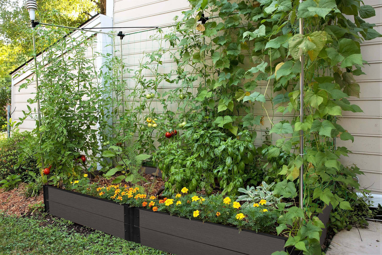 4' x 8' Raised Garden Bed with Trellis Raised Garden Beds Frame It All Weathered Wood 1" 2 = 11"