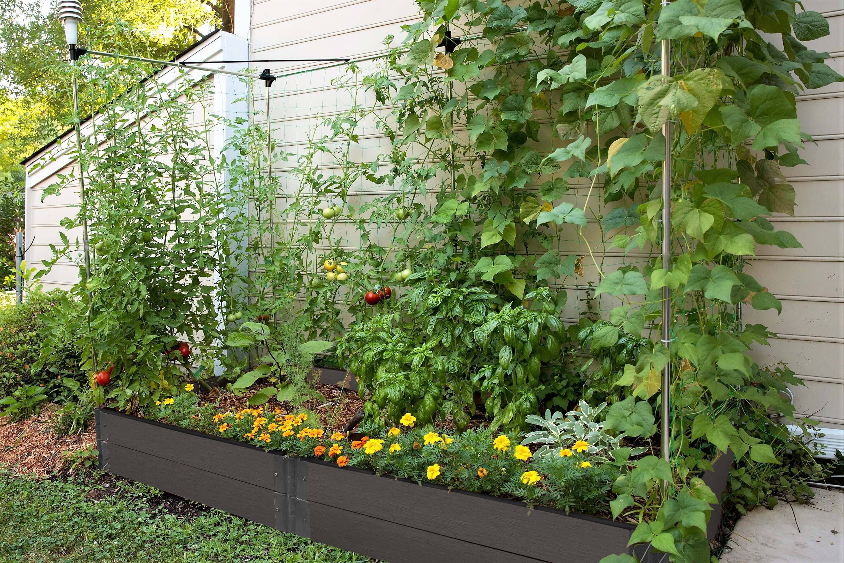 trellis planter wall 4' x 8' Raised Garden Bed with Trellis Weathered Wood / 2" / 11"