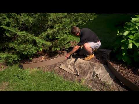 Sideyard Makeover
