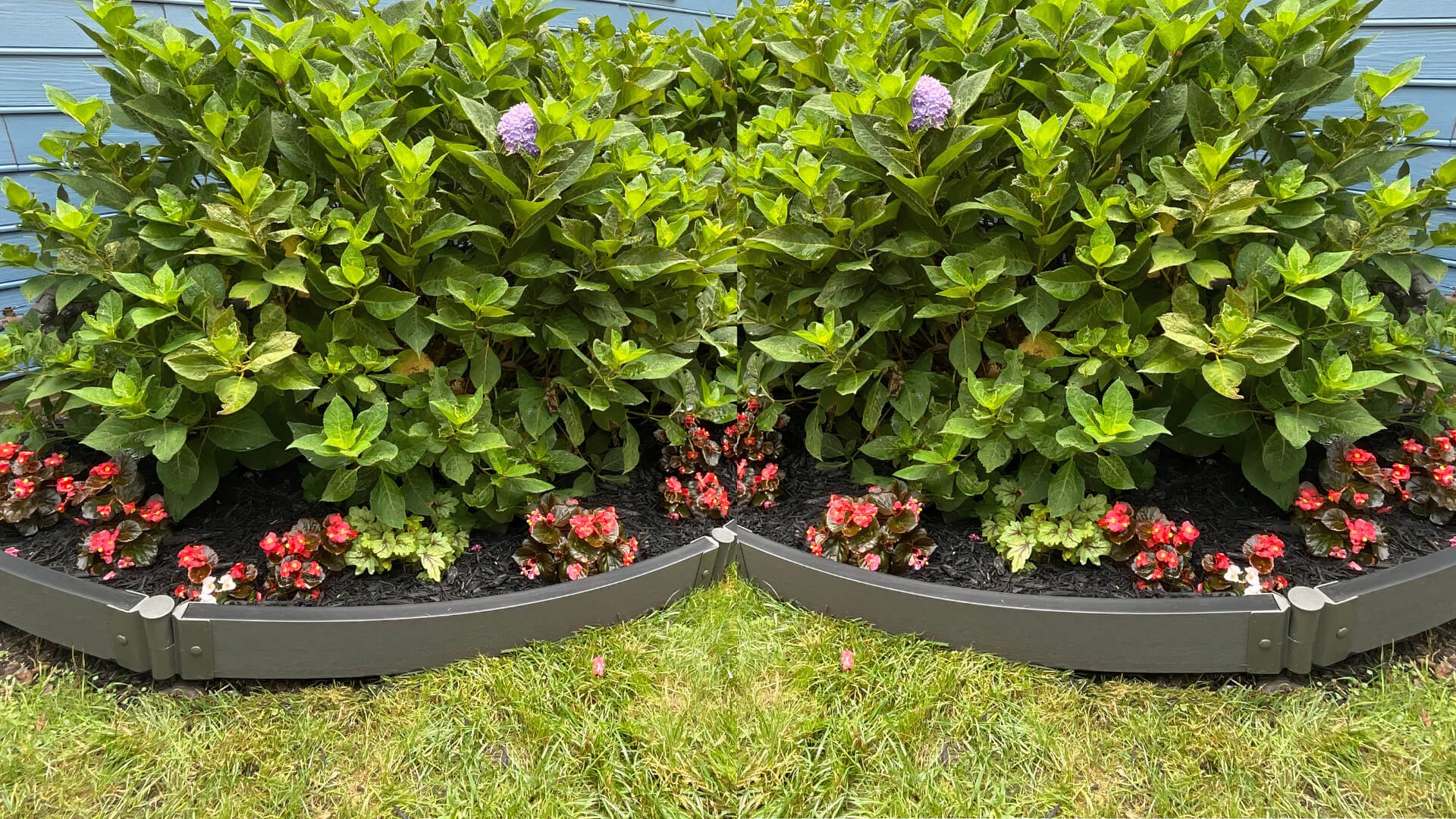 Landscape Edging Kit - Curved Boards Landscape Edging Frame It All