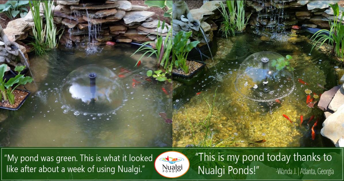 Nualgi Ponds Frame It All