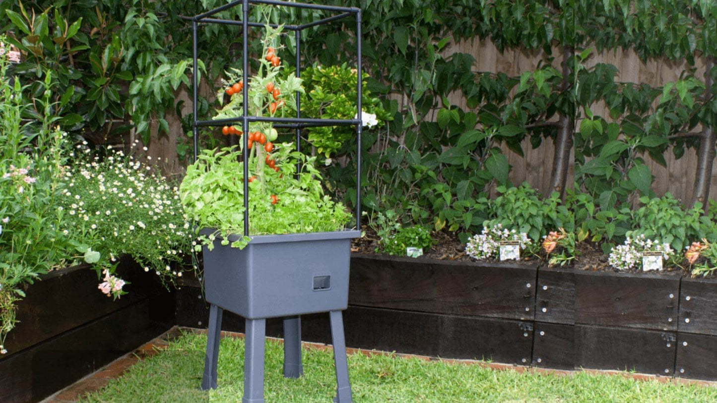 Self-Watering 15.75" x 15.75" x 45" Elevated Planter w/ Trellis Frame and Greenhouse Cover Patio Planters Frame It All