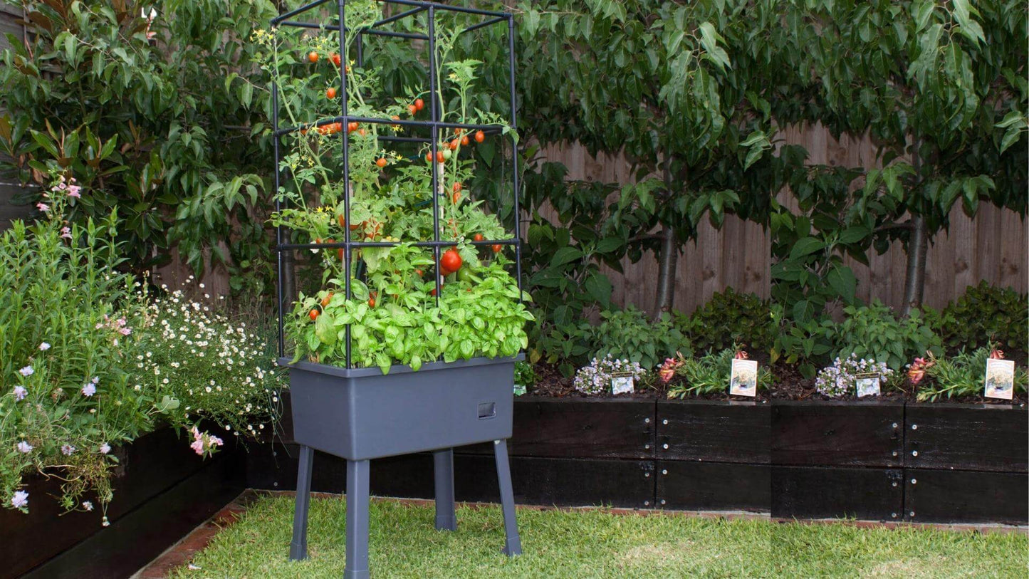 Self-Watering 15.75" x 23.5" x 57" Elevated Planter w/ Trellis Frame and Greenhouse Cover Patio Planters Frame It All