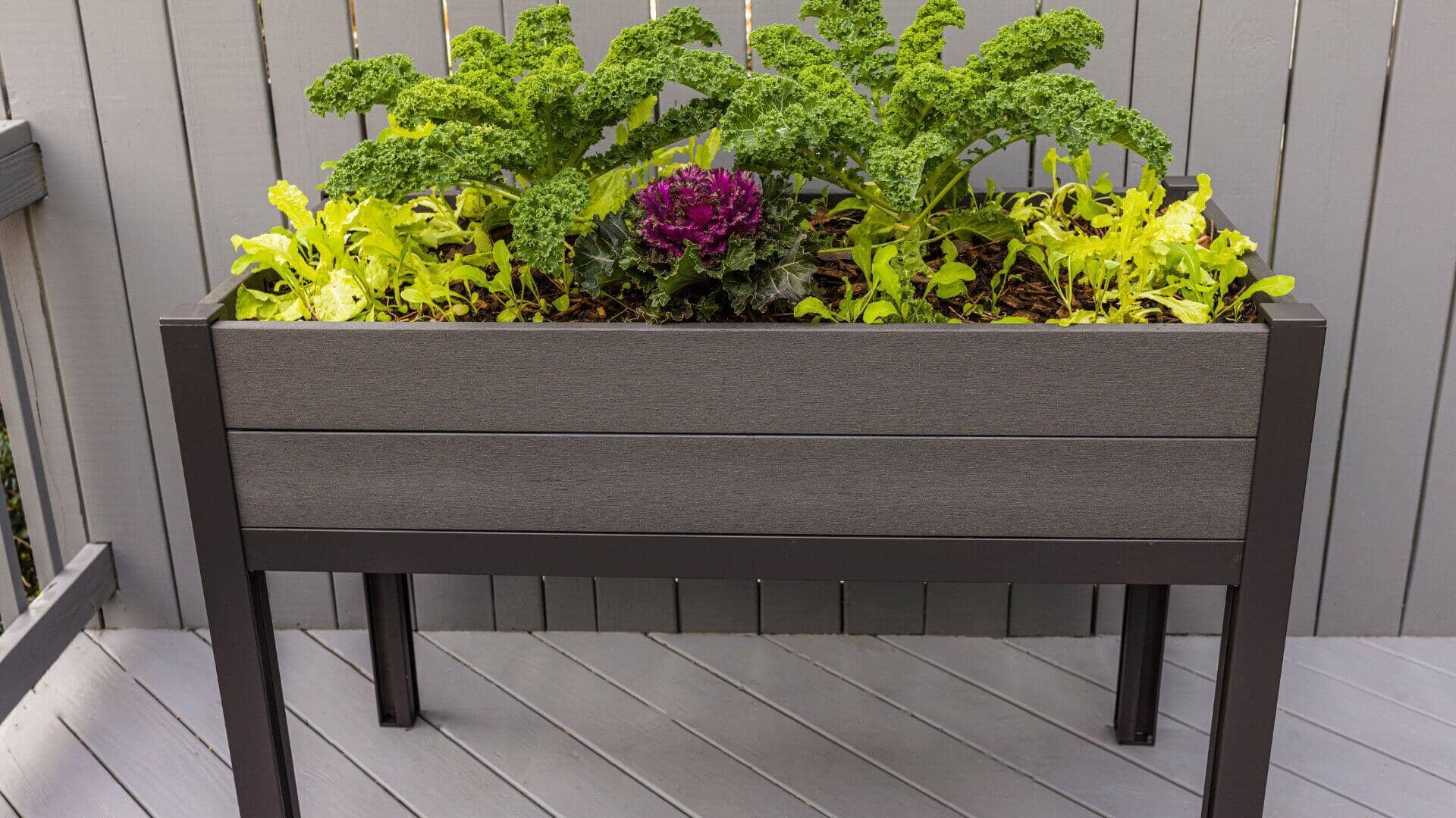 The Elevated Escape (24” x 48” x 34.5”) Elevated Garden Bed Raised Garden Beds Frame It All