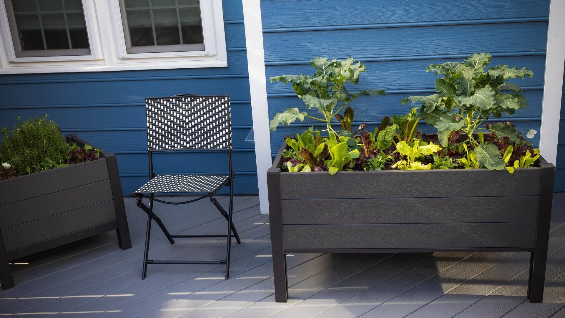 The Skyline Planter (24” x 48” x 25”) Elevated Garden Bed Raised Garden Beds Frame It All