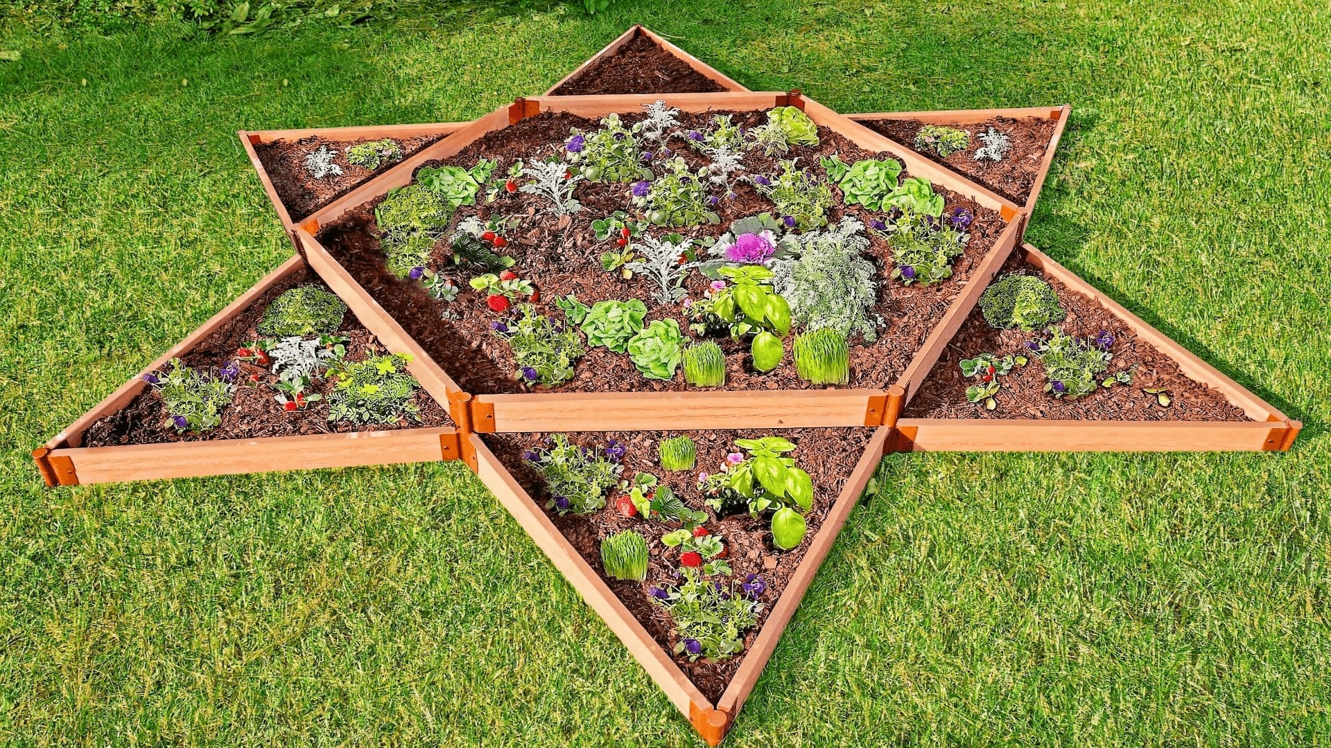 Tool-Free 'Garden Star' - 12’ x 12’ x 11” Terrace Garden Raised Bed (Double Tier) Raised Garden Beds Frame It All Classic Sienna 2"