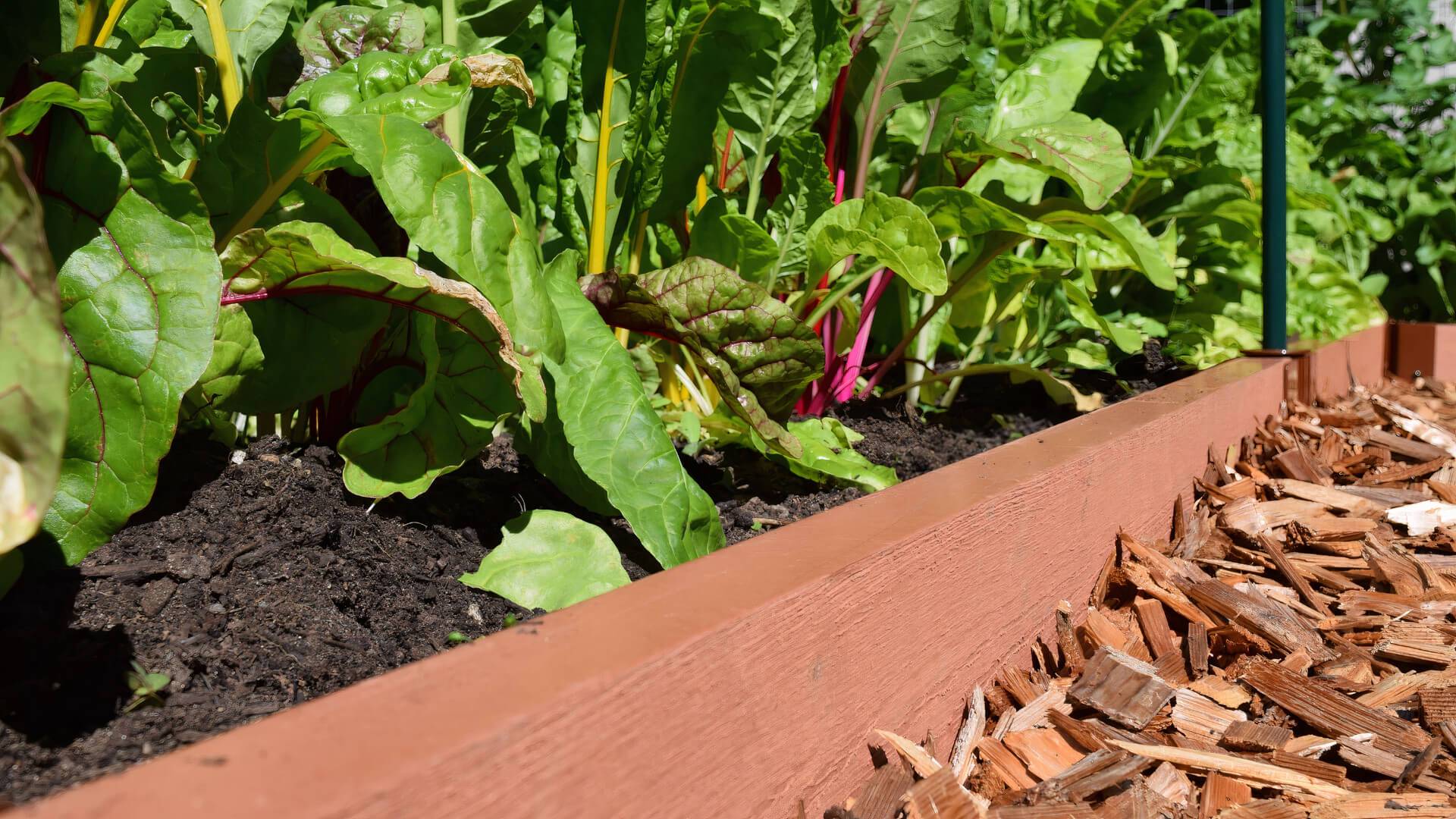 Tool-Free Landscape Edging Kit - Straight Boards Landscape Edging Frame It All