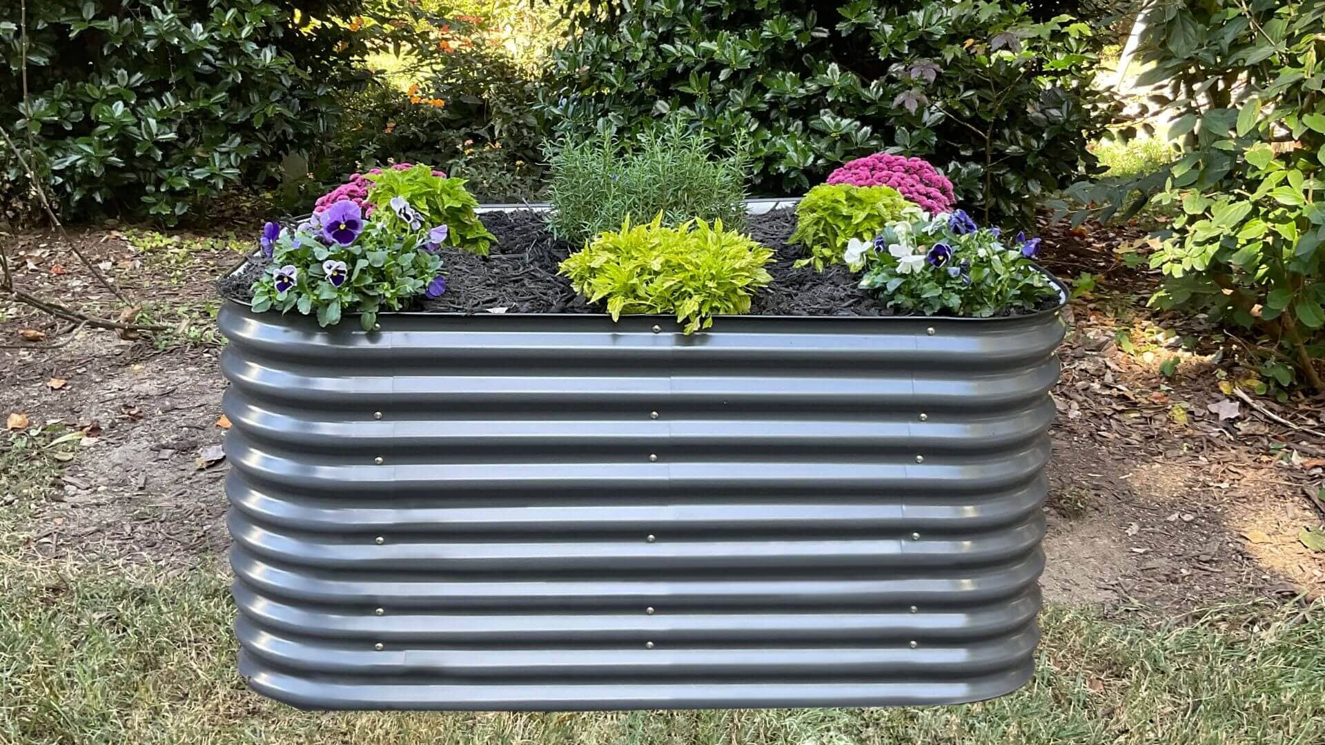 VegHerb's 6-in-1 Metal Raised Garden Bed (32" Height, V4-V9) Gardening VegHerb Slate Gray