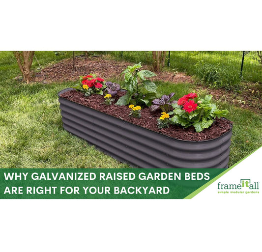 10 Reasons You Should Consider Galvanized Raised Garden Beds For Your Backyard