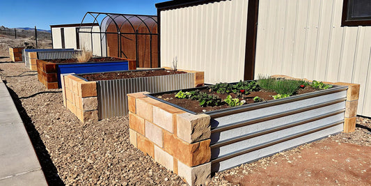 15 Raised Garden Edging Ideas for Any Style & Budget