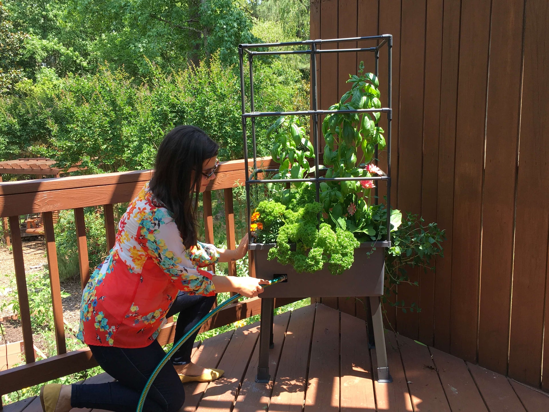 The Ultimate Guide to Self-Watering Elevated Planters