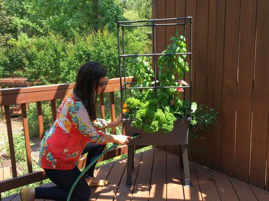 5 Best Self-Watering Elevated Planters