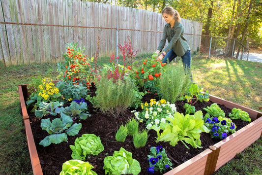 5 Best Stackable Garden Beds to Maximize Space