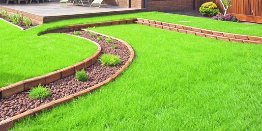 9 Easy DIY Landscape Edging Ideas on a Budget