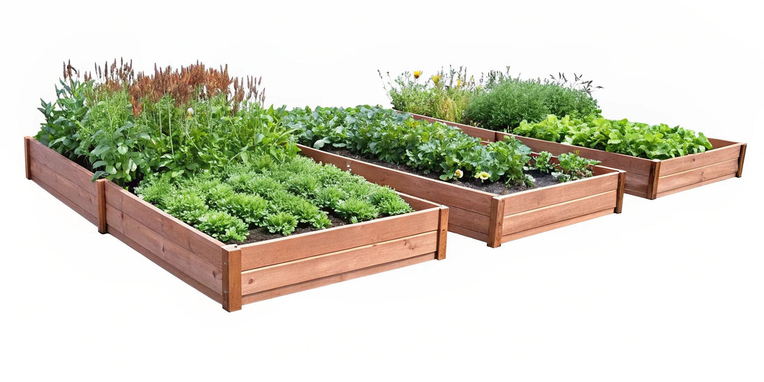 9 Raised Bed Garden Layout Pictures to Inspire You