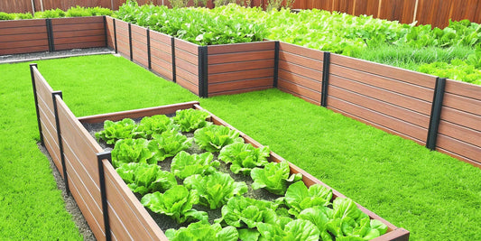 A Gardener's Guide to Raised Bed Fencing