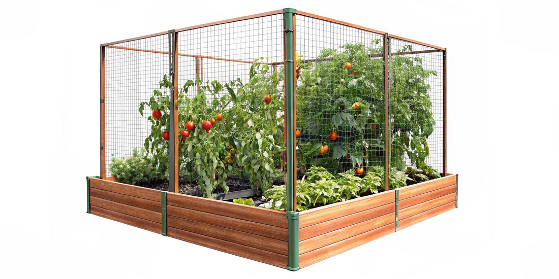 Animal Barrier Raised Garden Bed: Pest-Free Veggie Guide