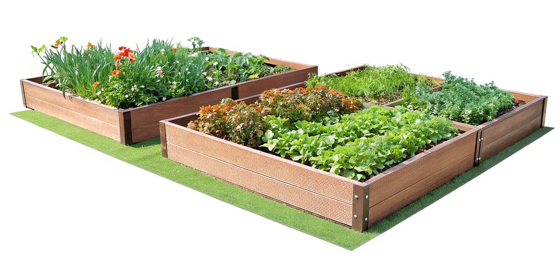 Best Material for Raised Garden Beds: 5 Types Compared