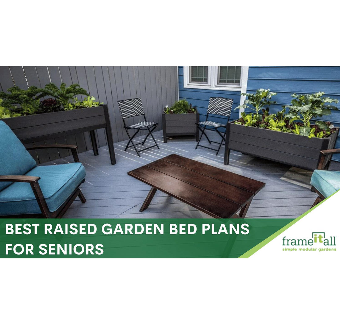 Best Raised Garden Bed Plans for Seniors