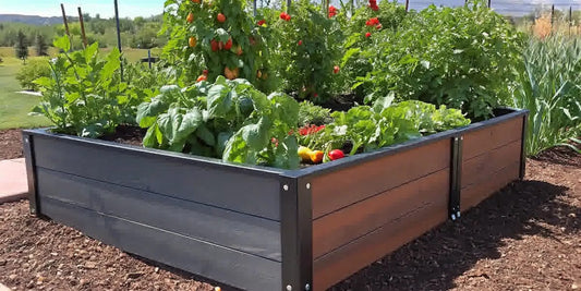 Best Vegetables for Raised Garden Beds Guide