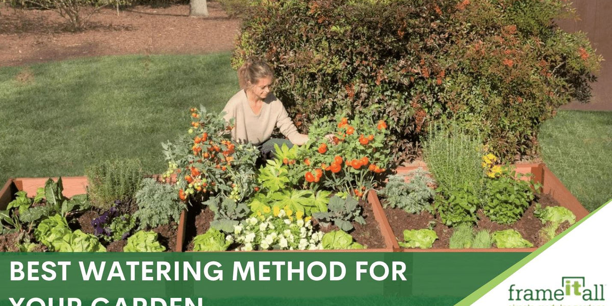 Best watering method for your garden: how to water plants | Frame It All
