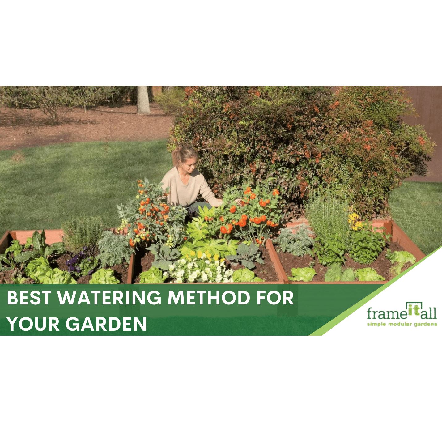 Best watering method for your garden how to water plants Frame It All
