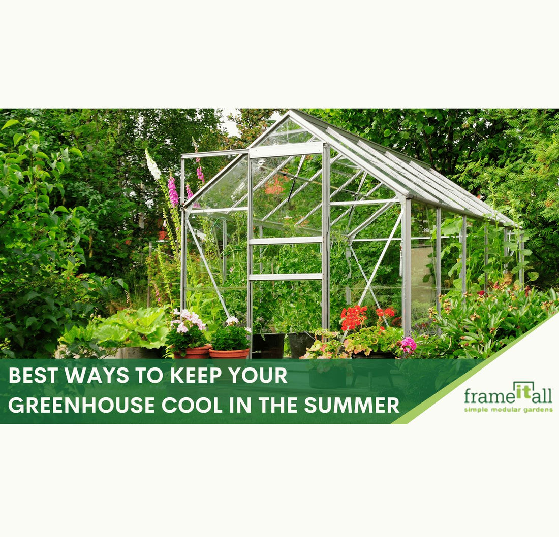 Best Ways To Keep Your Greenhouse Cool In The Summer