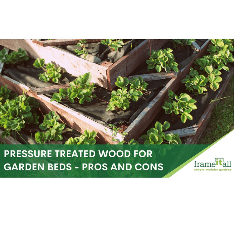 Can You Use Pressure Treated Wood for Raised Garden Beds? Frame It All