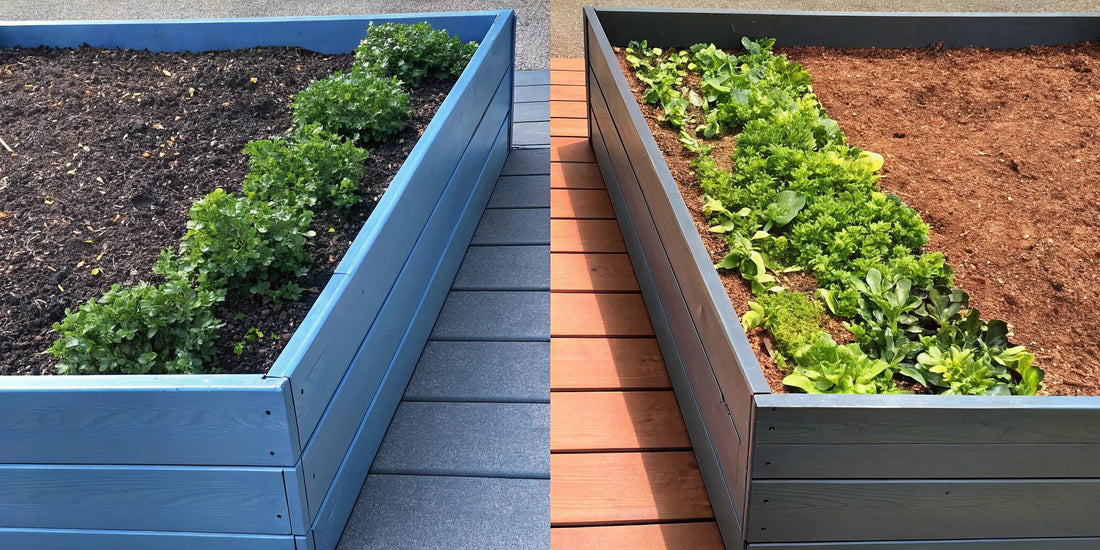 Composite vs. Wood Raised Garden Beds: The Showdown