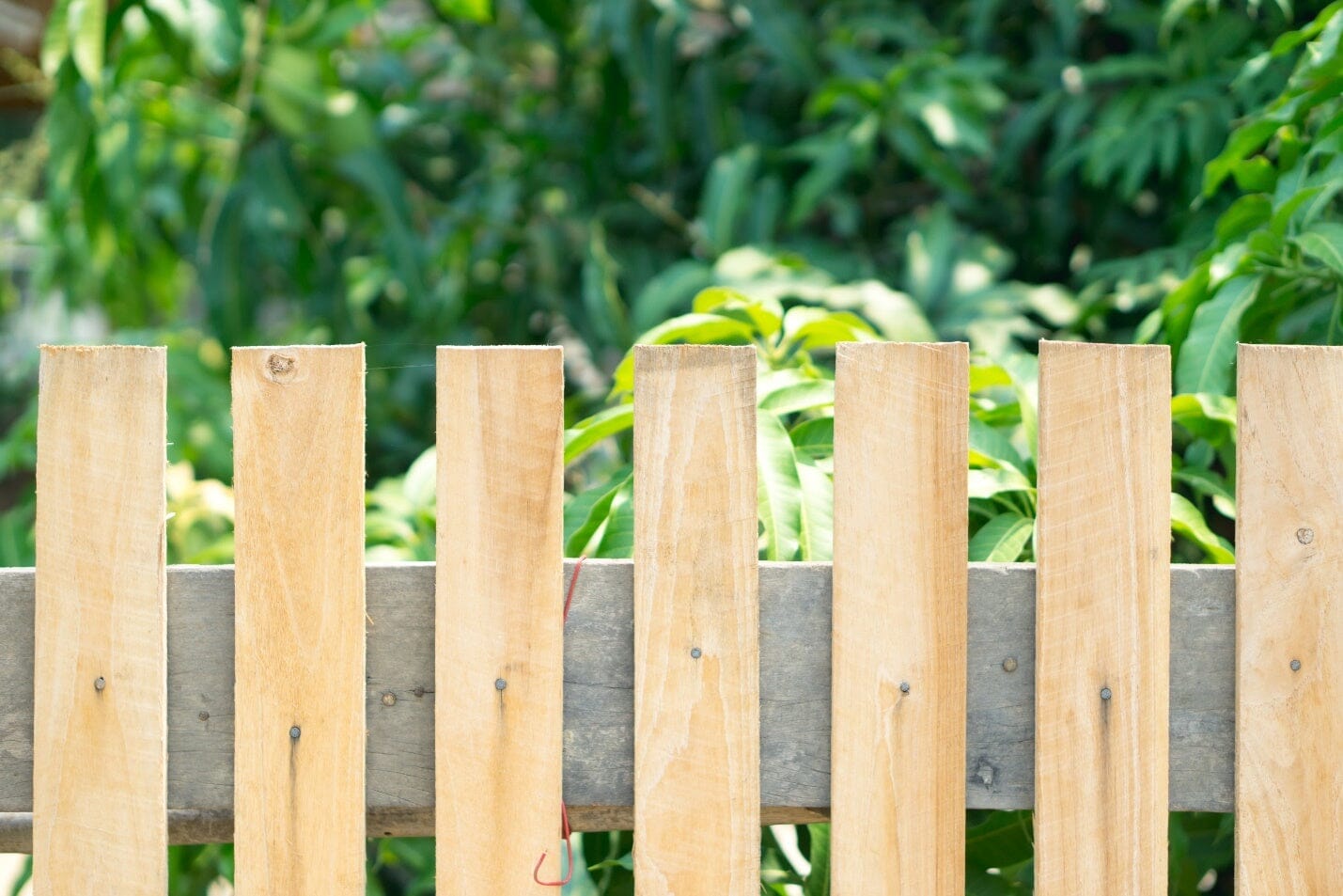 Do You Need a Fence Around the Raised Garden Bed?