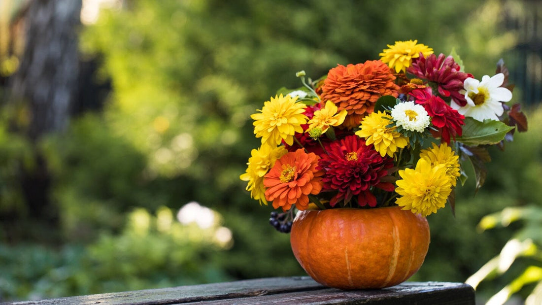 Fall Gardening: A Guide from Frame It All