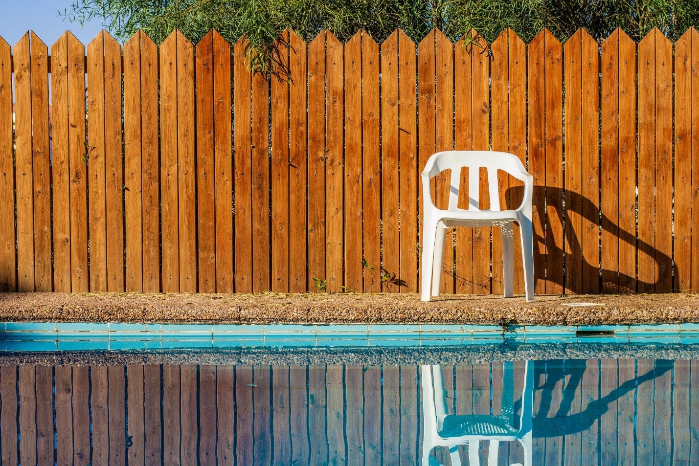 Pool Fence Ideas for Privacy & Security - Frame It All