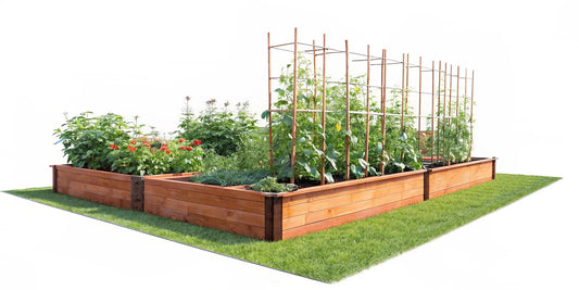 Garden Bed With Trellis: A Complete Growing Guide