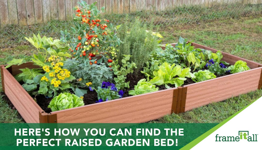 Here’s How You Can Find The Perfect Raised Garden Bed!