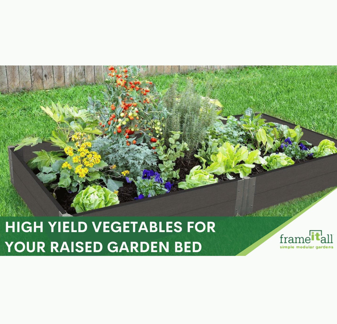 High Yield Vegetables for Your Raised Garden Bed
