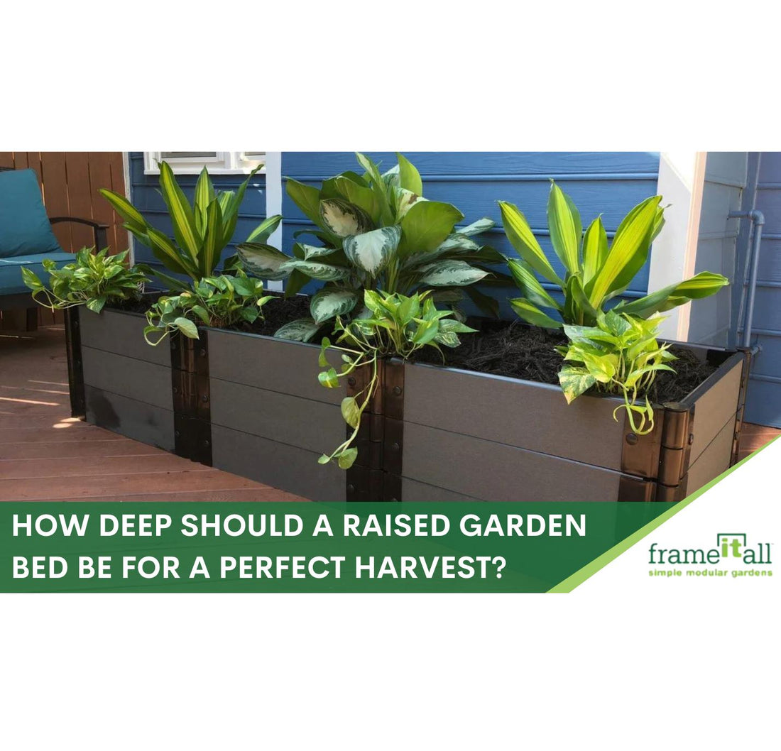How Deep Should a Raised Garden Bed Be for a Perfect Harvest?