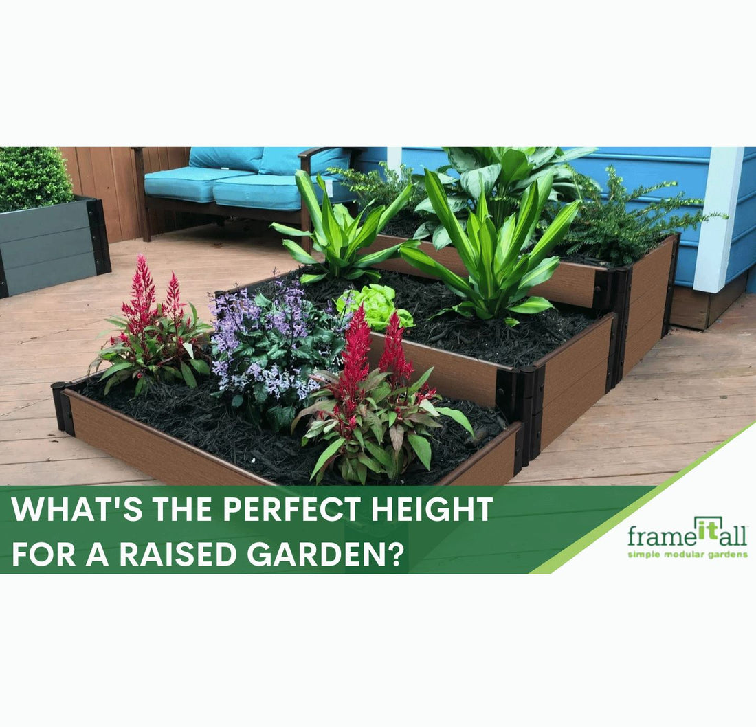 How High Should A Raised Garden Bed Be