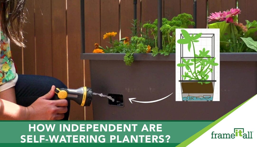 How independent are self-watering planters