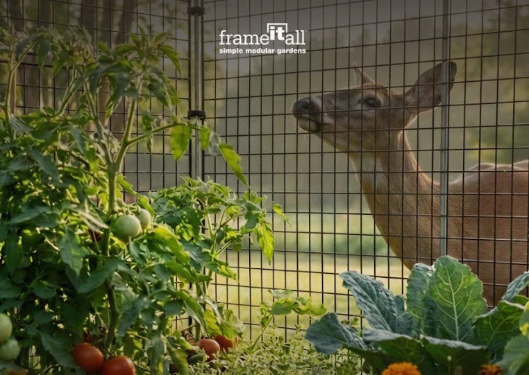 How to Build a Deer-Proof Garden Bed That Lasts