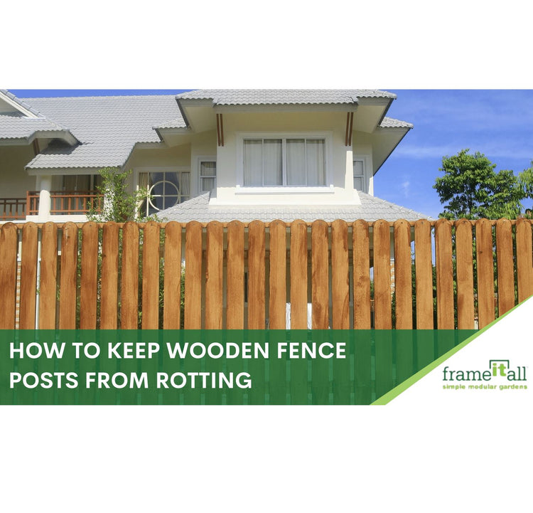 Top Tips to Prevent Your Wood Fence Posts From Rotting Frame It All